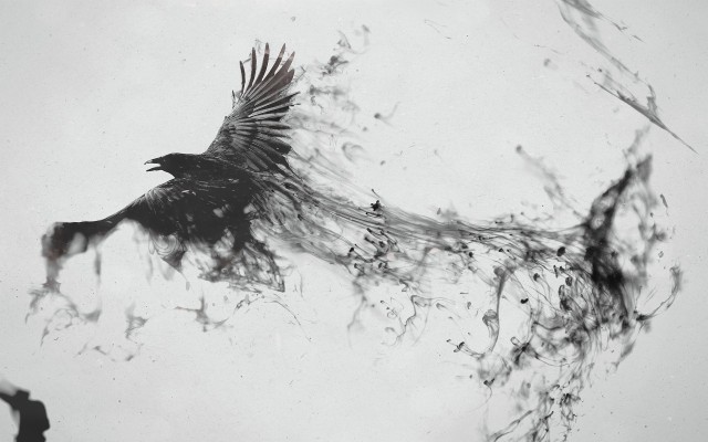 birds flying wallpaper black and white