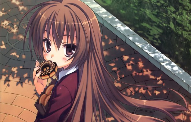 Toradora Taiga Aisaka Minori Kushieda Ami Anime Three