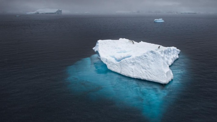 Antarctica, Penguin, Iceberg, Snow - Antarktida - 640x1138 Wallpaper ...