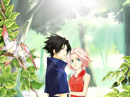 Anime Sasuke Dan Sakura - 1600x1200 Wallpaper - teahub.io