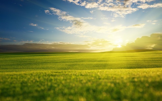 Sunrise Desktop Wallpaper - Beautiful Grass Field - 1920x1200 Wallpaper ...