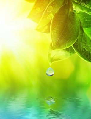  Naturel - 4392x5724 Wallpaper - teahub.io