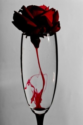 bloody black rose wallpaper