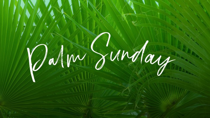 Palm Sunday Hd Images Download - 1024x768 Wallpaper 