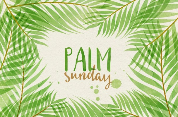 Palm Sunday In Tamil - 800x600 Wallpaper 