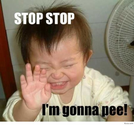 Stop Stop Im Gonna Pee Meme - 1288x1200 Wallpaper - teahub.io