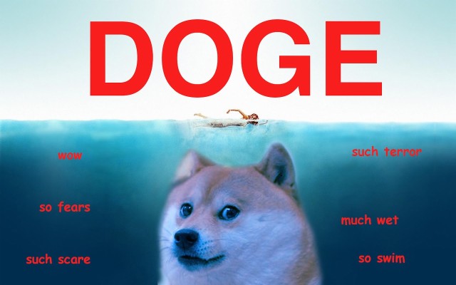 Doge Live Wallpaper - Doge - 1024x640 Wallpaper 