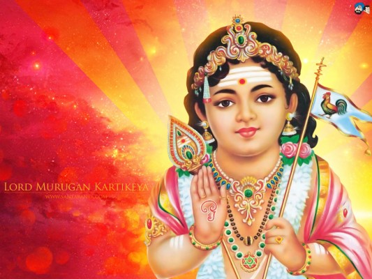 Lord Murugan Images Subramanya Swamy Images Hd 700x716 Wallpaper Teahub Io