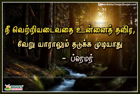 Best Tamil Pongal Greetings Online Quotes, Pongal Valthukkal - Best ...