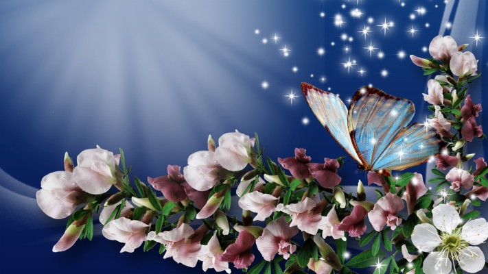 Download 3d Flower With Butterfly 3d Flower 2342x1638 Wallpaper Teahub Io