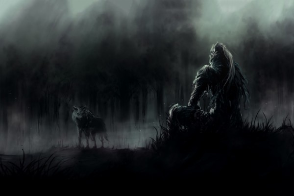 Dark Souls Game Soldier Warrior Resting With Wolf Wallpaper Artorias 1050x700 Wallpaper Teahub Io