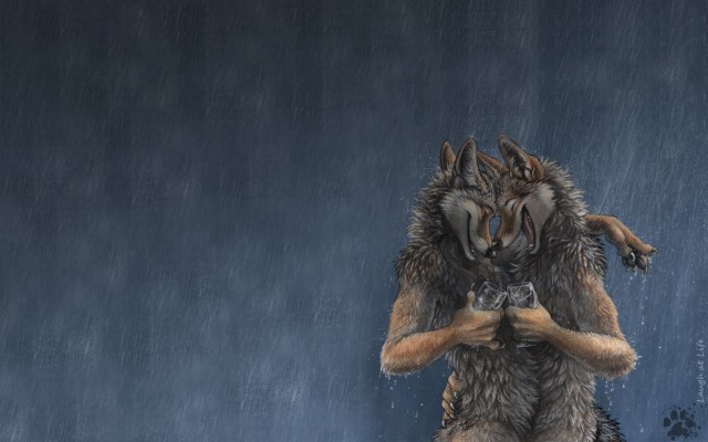 Furry Wallpapers Wolf Furry Art 3240x1920 Wallpaper