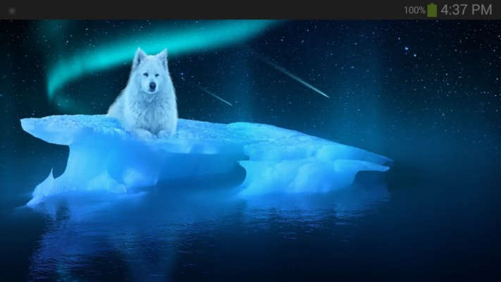 Ice Wolf Full Hd - 1280x720 Wallpaper 
