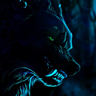 Download Wolf Wallpapers And Backgrounds Page 6 Teahub Io