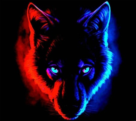 Android, Iphone, Desktop Hd Backgrounds / Wallpapers - Glow In The Dark  Wolf - 1080x960 Wallpaper 
