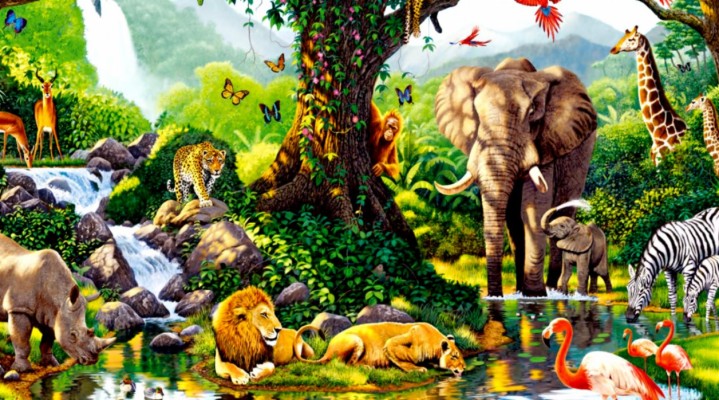 Image - Real Life Jungle Animals - 1920x1080 Wallpaper 