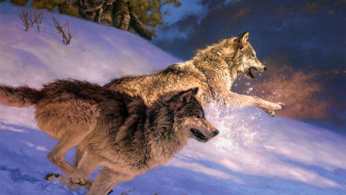 1920x1080, Ice Wolf Wallpaper - Wolf Attack Wallpaper Hd - 1920x1080  Wallpaper 