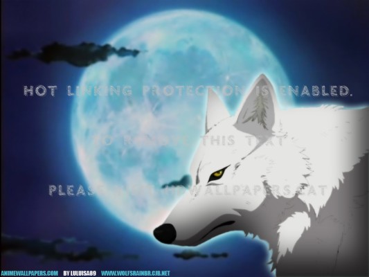 Kiba Blue Moon Wolf Rain Anime Wolf S Rain Anime 1024x768 Wallpaper Teahub Io