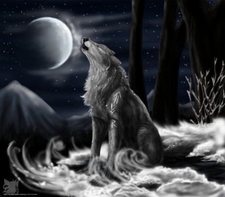 Download Wallpaper Wolf, Moon, Night, Star Free Desktop - Backgrounds ...