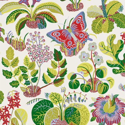 Birds And Butterflies 2704420 Schumacher Wallpaper - Schumacher Birds