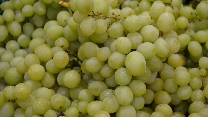 Rip Green Grapes Hd Wallpapers - Green Grapes - 1024x683 Wallpaper ...