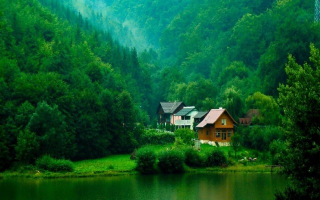Nature Wallpapers Data-src /w/full/8/0/e/342765 - House In Green Forest -  1920x1200 Wallpaper 