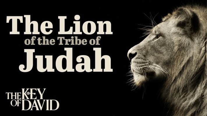 5 Lion Of Tribe Judah Christian Wallpaper Free Download - Lion Of The Tribe  Of Judah - 1024x768 Wallpaper 