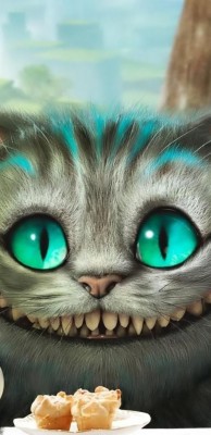 Chat Alice Au Pays Des Merveilles - 1440x2960 Wallpaper - teahub.io