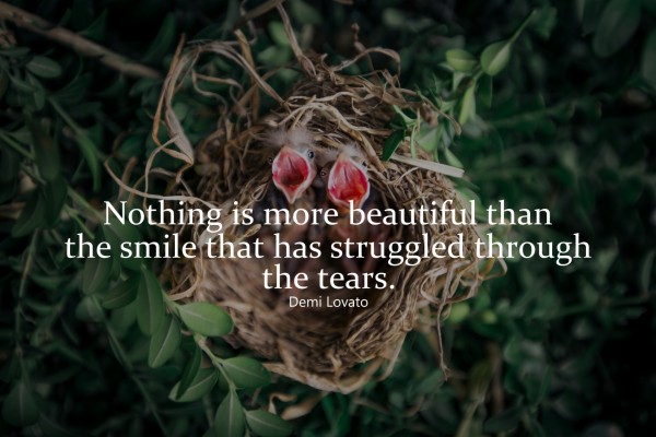 Quotes For Birds Nest - 1920x1280 Wallpaper - teahub.io