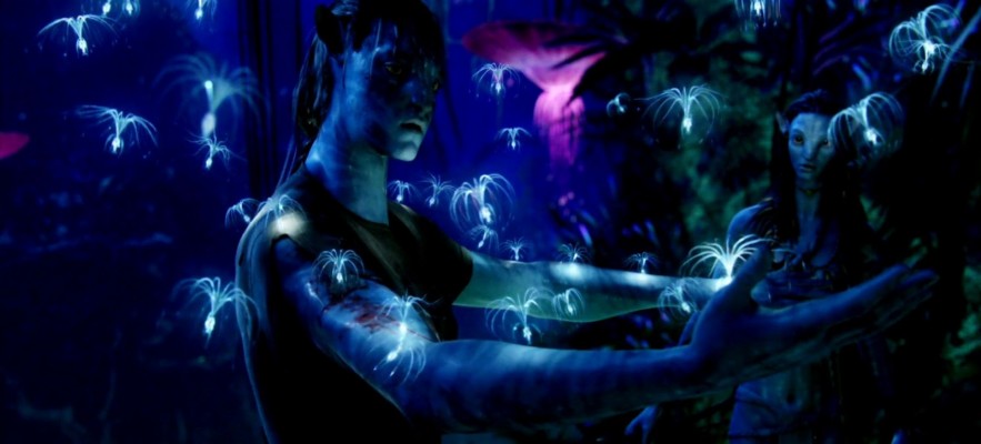 Avatar Movie Wallpapers Free Download Group - Avatar Movie Wallpaper For  Phone - 1600x724 Wallpaper 