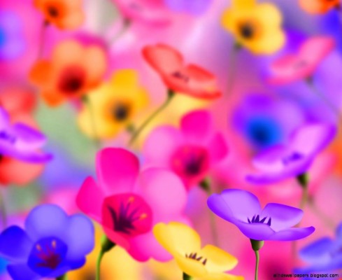 Whatsapp Profile Pic In Flowers 19x1080 Wallpaper Teahub Io