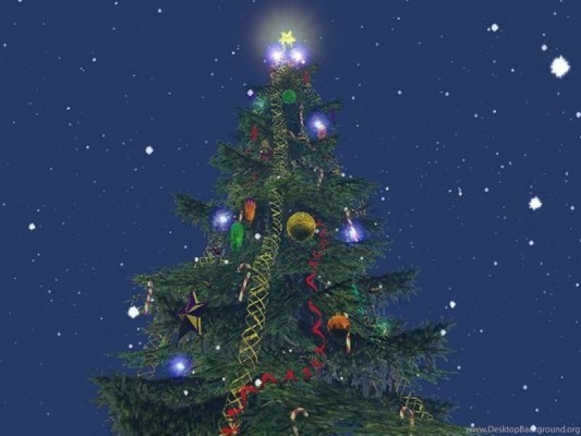 Wallpaper Lampu Pohon Natal - Christmas Tree Images Download - 1280x800 ...