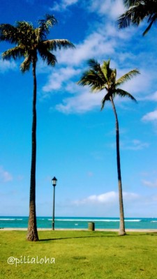Iphone Hawaii Backgrounds - 750x1334 Wallpaper 