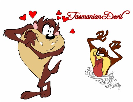 The Tasmanian Devil Wallpaper Cartoon 03 - Tasmanian Devil Cartoon