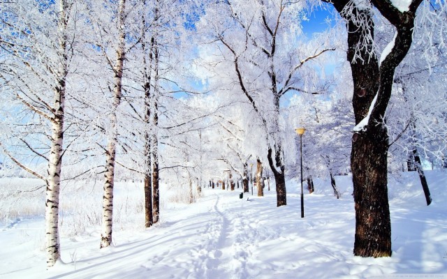 Winter Wonderland Laptop Background 1680x1050 Wallpaper Teahub Io