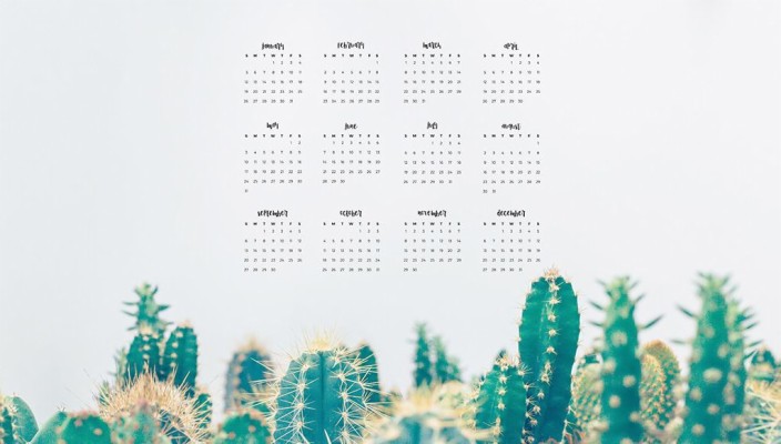 2020 Cactus Free Printable Calendar - 1024x581 Wallpaper - teahub.io