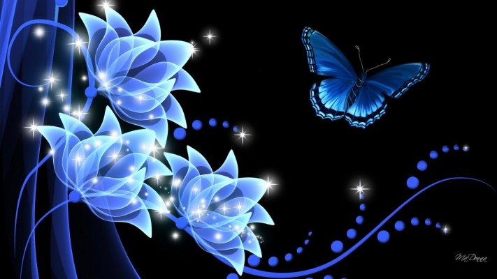 Rhapsody Butterfly Dark Glow Flowers Summer Flower - Background Dark ...