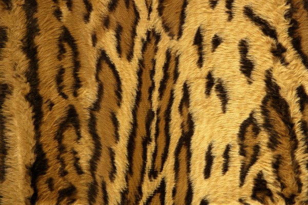 Vietnam Tiger Stripe Camo Tiger Stripes - Tiger Stripe Camo Background