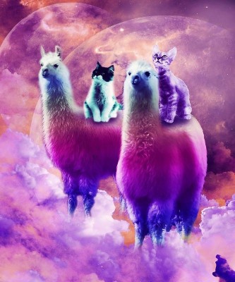 rainbow llama wallpaper