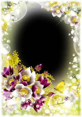 Flower Frames For Photoshop - 1600x1000 Wallpaper 