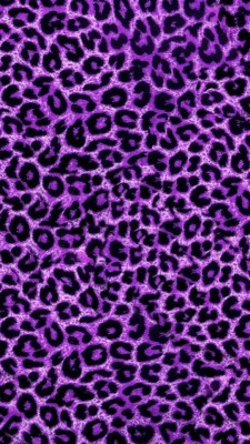 Pink Leopard Print Wallpaper - Leopard Print - 1004x753 Wallpaper -  