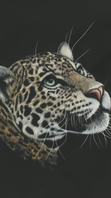 Leopard 4k Ultra Hd - 1080x1920 Wallpaper - teahub.io