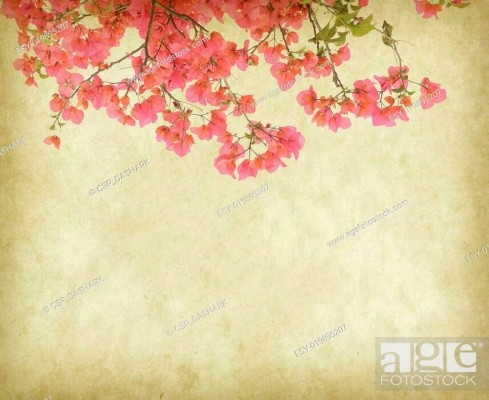 Featured image of post Tumblr Vintage Fondo Wallpaper Flores Choose from over a million free vectors clipart graphics vector art images design templates and illustrations created by artists worldwide