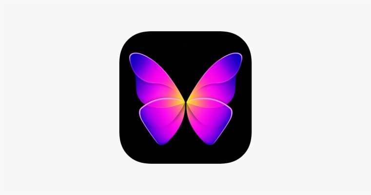 Moths And Butterflies - 800x800 Wallpaper - teahub.io