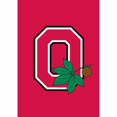 Ohio State Clip Art - Ohio State Buckeye Flower - 2250x2250 Wallpaper
