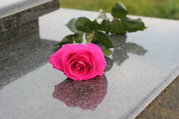 Roses On A Grave - 910x607 Wallpaper - teahub.io