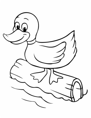 Colours Drawing Wallpaper - Cartoon Colouring Pages For Duck - 670x867  Wallpaper 