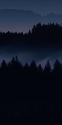 Dark Forest Wallpapers For Android 1280p width 240 - 1280x1920 ...