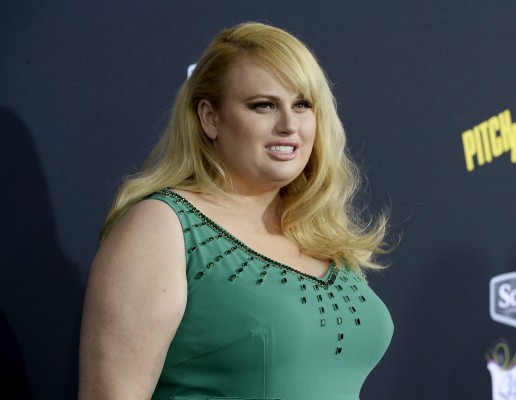 Rebel Wilson Wallpapers Hd - 3000x2325 Wallpaper - teahub.io