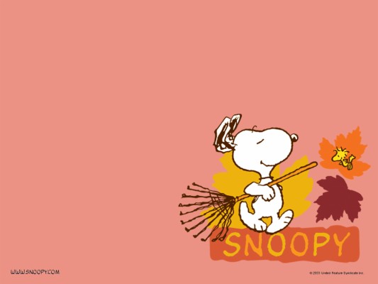 Snoopy Desktop Wallpaper 19x10 Wallpaper Teahub Io